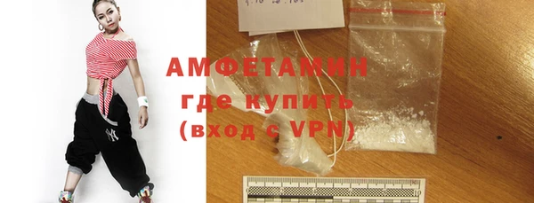 амф Новозыбков