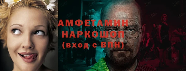 крисы Новодвинск
