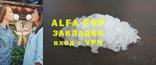 крисы Новодвинск
