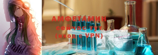 амф Новозыбков