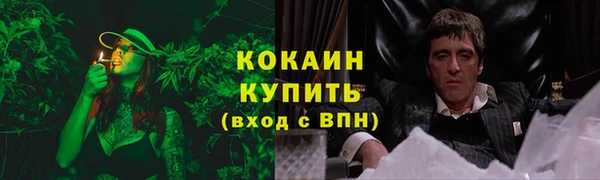 крисы Новодвинск