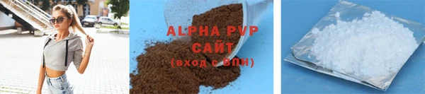 крисы Новодвинск