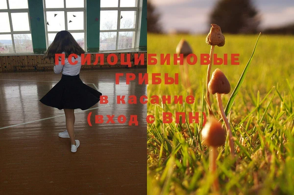 крисы Новодвинск