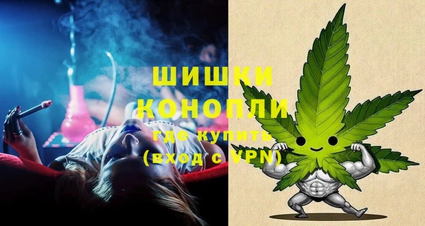 амф Новозыбков