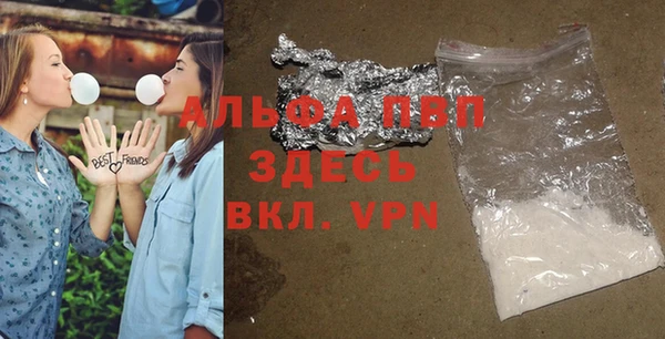 крисы Новодвинск