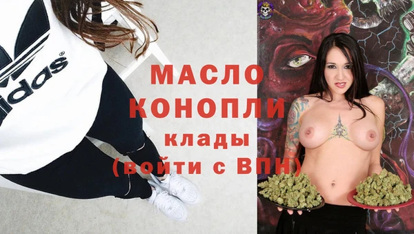 крисы Новодвинск