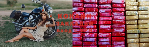 амф Новозыбков