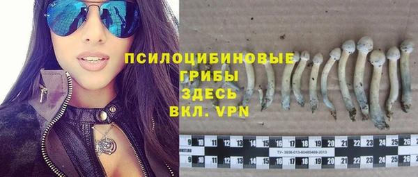 амф Новозыбков