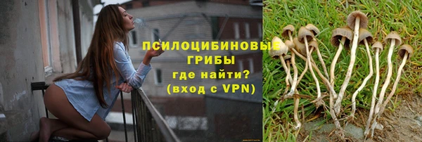амф Новозыбков