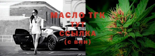 крисы Новодвинск