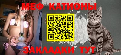 тгк Дубна