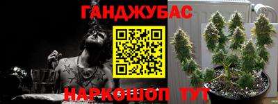 PSILOCYBIN Донской