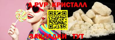 PSILOCYBIN Донской