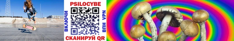 OMG как войти  где продают наркотики  Аксай  Галлюциногенные грибы мицелий 