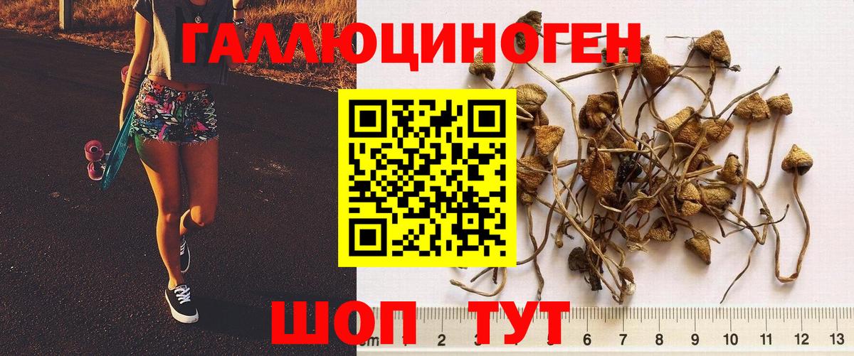 Псилоцибиновые грибы прущие грибы  Вход с VPN  Аксай  наркотики  Галлюциногенные грибы GOLDEN TEACHER 